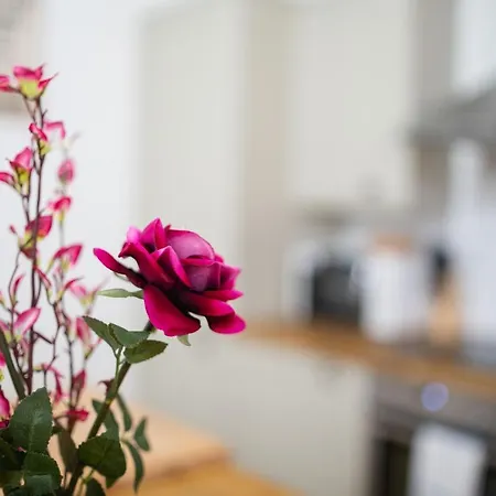 Apartament Queens Ajy City Centre *